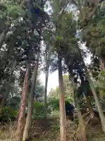 大宮温泉神社(栃木県)