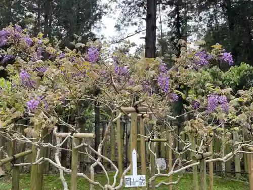 歌泉堂（春日大社神苑萬葉植物園内鎮座）(奈良県)