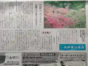 本輪西八幡神社(北海道)(2025年05月25日(日) 22時55分55秒投稿)