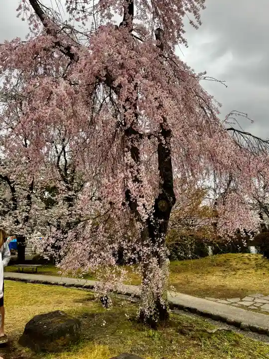富士山本宮浅間大社の{uncategorized: "未分類", other: "その他", undefined: "問題あり", building: "その他建物", grave: "お墓", sacred_gate: "鳥居", guardian: "狛犬", statue: "像", buddha: "仏像", history: "歴史", nature: "自然", garden: "庭園", animal: "動物", pagoda: "塔", temizu: "手水舎", mountain_gate: "山門・神門", sanctuary: "本殿・本堂", subordinate: "末社・摂社", art: "芸術", scenery: "景色", jizo: "地蔵", ema: "絵馬", goshuin: "御朱印", omikuji: "おみくじ", items: "授与品その他", amulet: "お守り", goshuincho: "御朱印帳", eats: "食事", festival: "お祭り", votive_dance: "神楽", shichigosan: "七五三参", wedding: "結婚式", experience: "体験その他", initially: "初詣", around: "周辺", anti_infection: "感染症対策"}