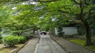 養源院(京都府)
