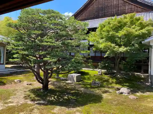 妙覺寺（妙覚寺）の庭園