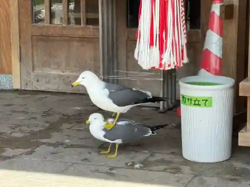 蕪嶋神社(青森県)