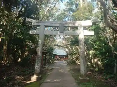 渡海神社の鳥居