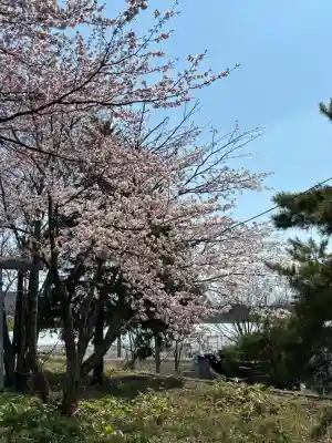 御園神社の{uncategorized: "未分類", other: "その他", undefined: "問題あり", building: "その他建物", grave: "お墓", sacred_gate: "鳥居", guardian: "狛犬", statue: "像", buddha: "仏像", history: "歴史", nature: "自然", garden: "庭園", animal: "動物", pagoda: "塔", temizu: "手水舎", mountain_gate: "山門・神門", sanctuary: "本殿・本堂", subordinate: "末社・摂社", art: "芸術", scenery: "景色", jizo: "地蔵", ema: "絵馬", goshuin: "御朱印", omikuji: "おみくじ", items: "授与品その他", amulet: "お守り", goshuincho: "御朱印帳", eats: "食事", festival: "お祭り", votive_dance: "神楽", shichigosan: "七五三参", wedding: "結婚式", experience: "体験その他", initially: "初詣", around: "周辺", anti_infection: "感染症対策"}