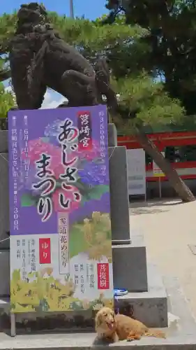 筥崎宮(福岡県)