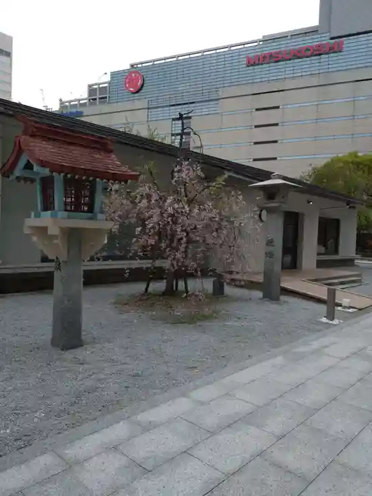 警固神社の自然