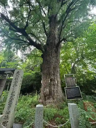 芝東照宮(東京都)