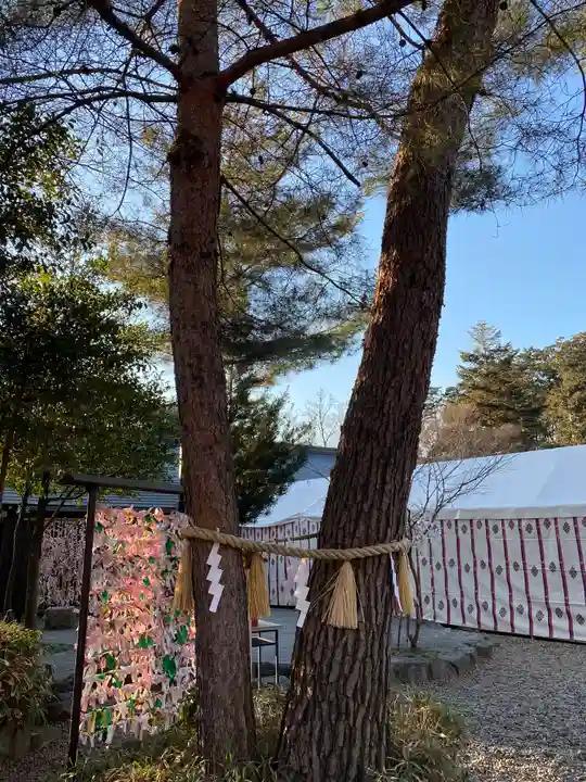 櫻木神社の自然