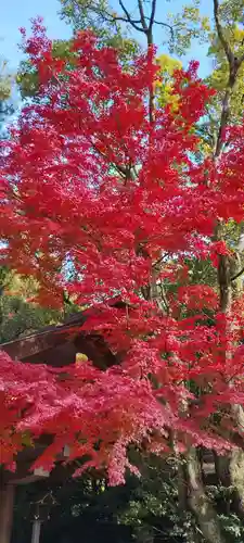 熱田神宮(愛知県)
