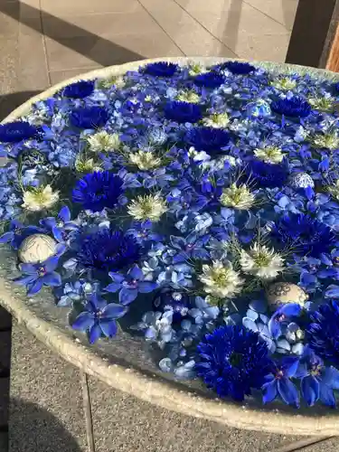 行田八幡神社の手水