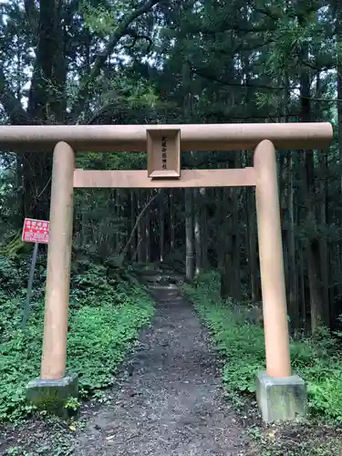 武蔵御嶽神社の鳥居