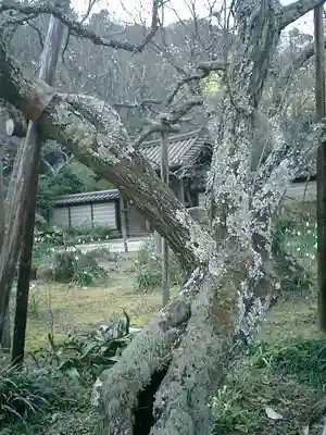 瑞泉寺のその他建物