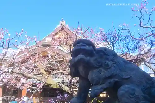 湯島天満宮(東京都)