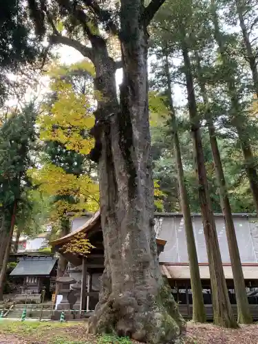 諏訪大社の{uncategorized: "未分類", other: "その他", undefined: "問題あり", building: "その他建物", grave: "お墓", sacred_gate: "鳥居", guardian: "狛犬", statue: "像", buddha: "仏像", history: "歴史", nature: "自然", garden: "庭園", animal: "動物", pagoda: "塔", temizu: "手水舎", mountain_gate: "山門・神門", sanctuary: "本殿・本堂", subordinate: "末社・摂社", art: "芸術", scenery: "景色", jizo: "地蔵", ema: "絵馬", goshuin: "御朱印", omikuji: "おみくじ", items: "授与品その他", amulet: "お守り", goshuincho: "御朱印帳", eats: "食事", festival: "お祭り", votive_dance: "神楽", shichigosan: "七五三参", wedding: "結婚式", experience: "体験その他", initially: "初詣", around: "周辺", anti_infection: "感染症対策"}
