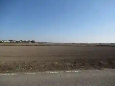伏木香取神社(茨城県)
