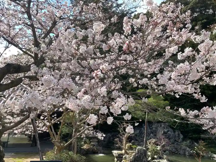 清荒神清澄寺の自然