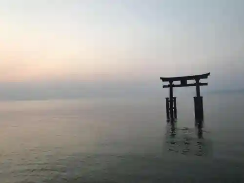 白鬚神社の鳥居