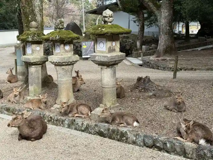 春日大社の{uncategorized: "未分類", other: "その他", undefined: "問題あり", building: "その他建物", grave: "お墓", sacred_gate: "鳥居", guardian: "狛犬", statue: "像", buddha: "仏像", history: "歴史", nature: "自然", garden: "庭園", animal: "動物", pagoda: "塔", temizu: "手水舎", mountain_gate: "山門・神門", sanctuary: "本殿・本堂", subordinate: "末社・摂社", art: "芸術", scenery: "景色", jizo: "地蔵", ema: "絵馬", goshuin: "御朱印", omikuji: "おみくじ", items: "授与品その他", amulet: "お守り", goshuincho: "御朱印帳", eats: "食事", festival: "お祭り", votive_dance: "神楽", shichigosan: "七五三参", wedding: "結婚式", experience: "体験その他", initially: "初詣", around: "周辺", anti_infection: "感染症対策"}