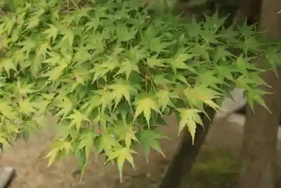 今宮神社(京都府)