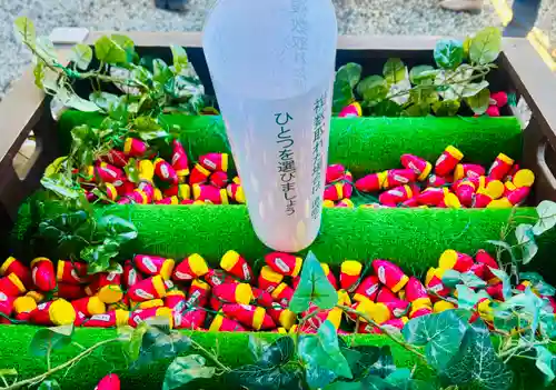 川越氷川神社(埼玉県)