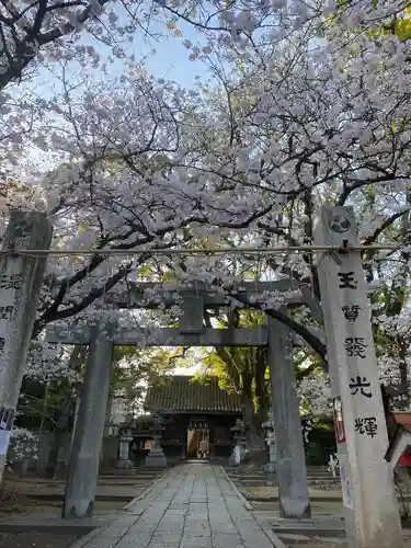 鳥飼八幡宮の鳥居