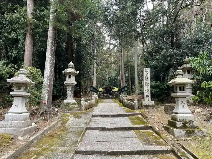 根来寺の{uncategorized: "未分類", other: "その他", undefined: "問題あり", building: "その他建物", grave: "お墓", sacred_gate: "鳥居", guardian: "狛犬", statue: "像", buddha: "仏像", history: "歴史", nature: "自然", garden: "庭園", animal: "動物", pagoda: "塔", temizu: "手水舎", mountain_gate: "山門・神門", sanctuary: "本殿・本堂", subordinate: "末社・摂社", art: "芸術", scenery: "景色", jizo: "地蔵", ema: "絵馬", goshuin: "御朱印", omikuji: "おみくじ", items: "授与品その他", amulet: "お守り", goshuincho: "御朱印帳", eats: "食事", festival: "お祭り", votive_dance: "神楽", shichigosan: "七五三参", wedding: "結婚式", experience: "体験その他", initially: "初詣", around: "周辺", anti_infection: "感染症対策"}