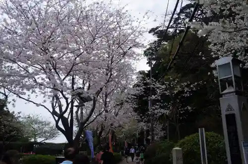 江島神社(神奈川県)