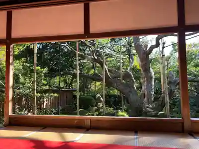 宝泉院(京都府)