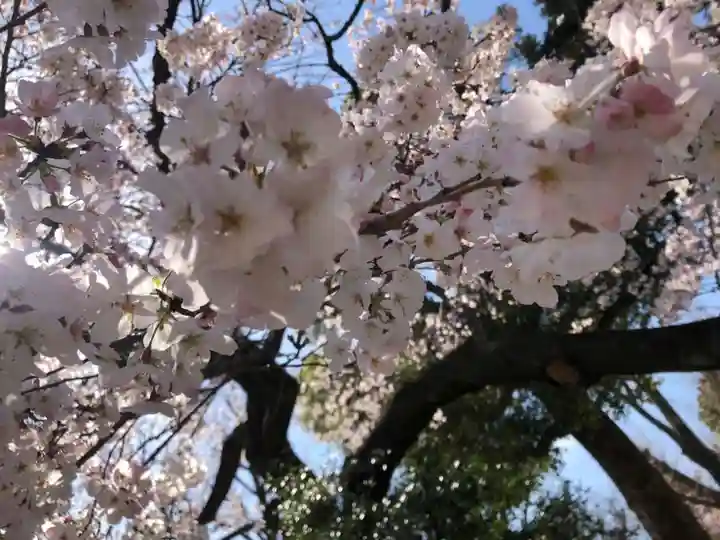上野東照宮の自然