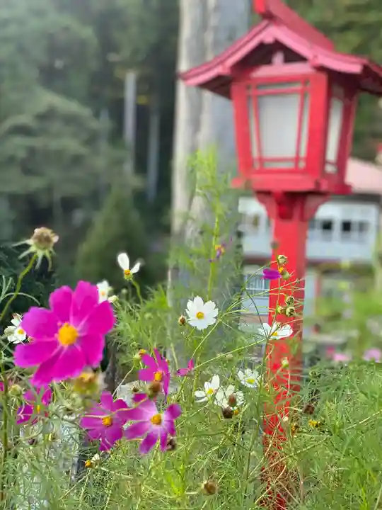 中之嶽神社(群馬県)