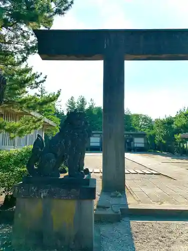 福井神社の狛犬