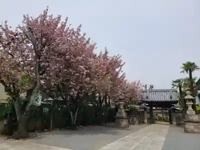 荘厳寺(東京都)