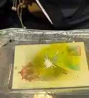 正暦寺(京都府)