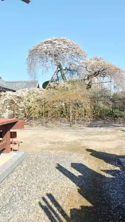 無量壽院(千葉県)