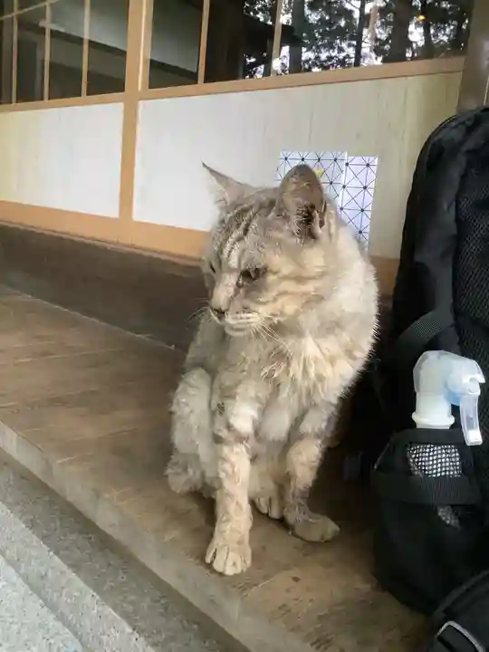 玉野御嶽神社の動物