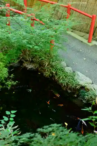秩父神社の動物