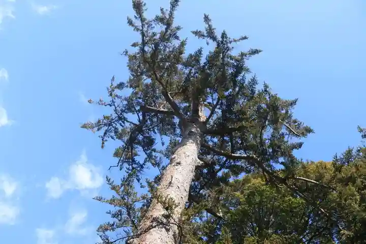 滑川神社 - 仕事と子どもの守り神の自然