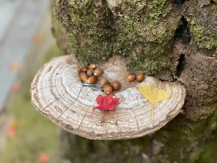 永源寺(滋賀県)