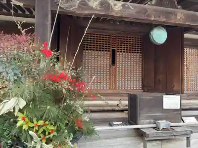 浄瑠璃寺(京都府)