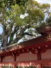 長田神社(兵庫県)