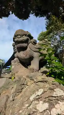 菊田神社の狛犬