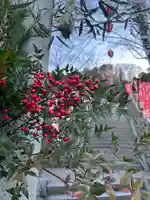 温泉神社〜いわき湯本温泉〜の初詣