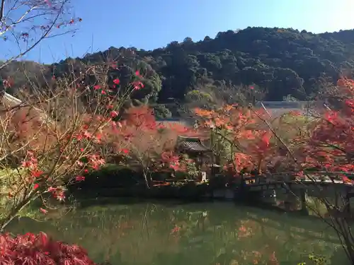 禅林寺（永観堂）の庭園