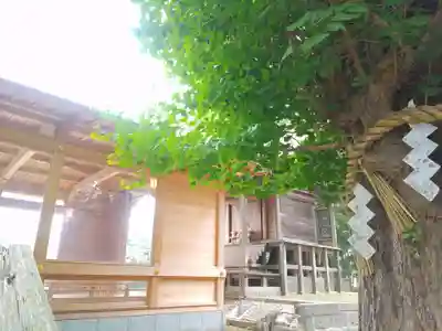 津島神社(宮城県)