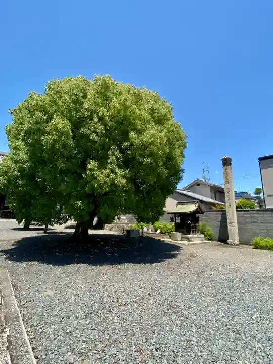 妙覺寺(妙覚寺)の自然