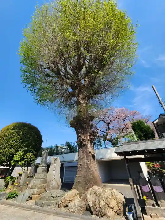 禅定院(東京都)