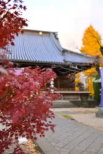 寛永寺(根本中堂)(東京都)
