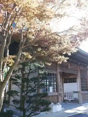 常陸第三宮　吉田神社の山門・神門