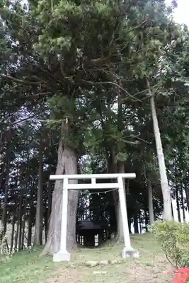 九万八千神社(埼玉県)
